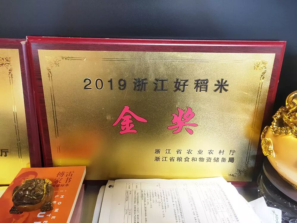 东风井关_大型粮油加工机械_粮食加工厂设备