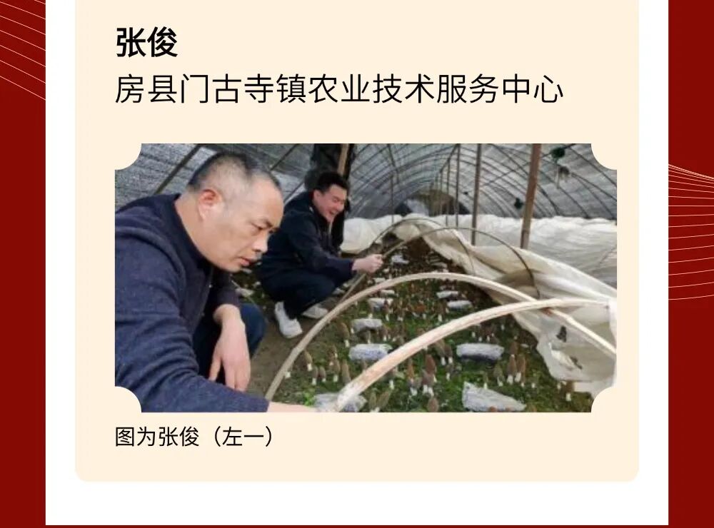 喜报！2025年十堰65人荣获国家和省级人才荣誉