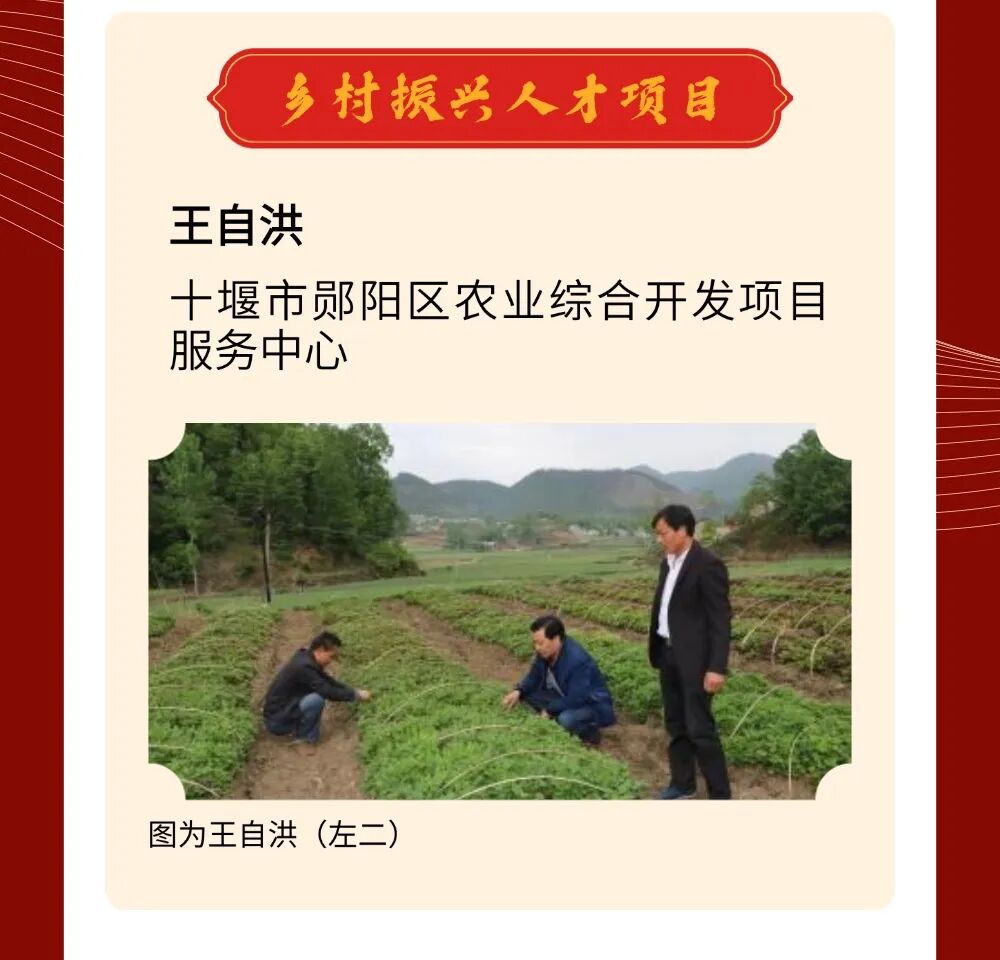 喜报！2025年十堰65人荣获国家和省级人才荣誉