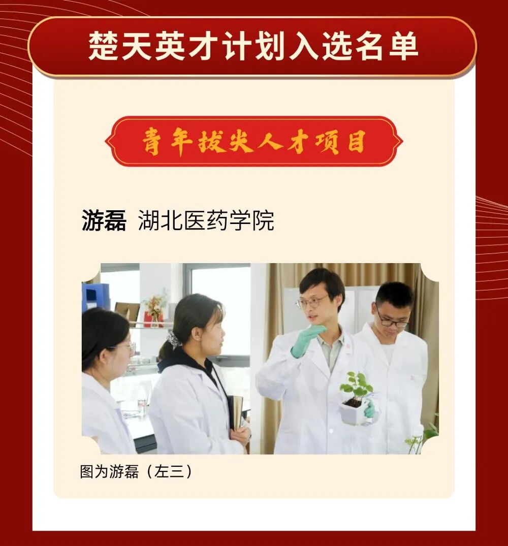 喜报！2025年十堰65人荣获国家和省级人才荣誉