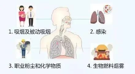 肺部结节 肺部结节