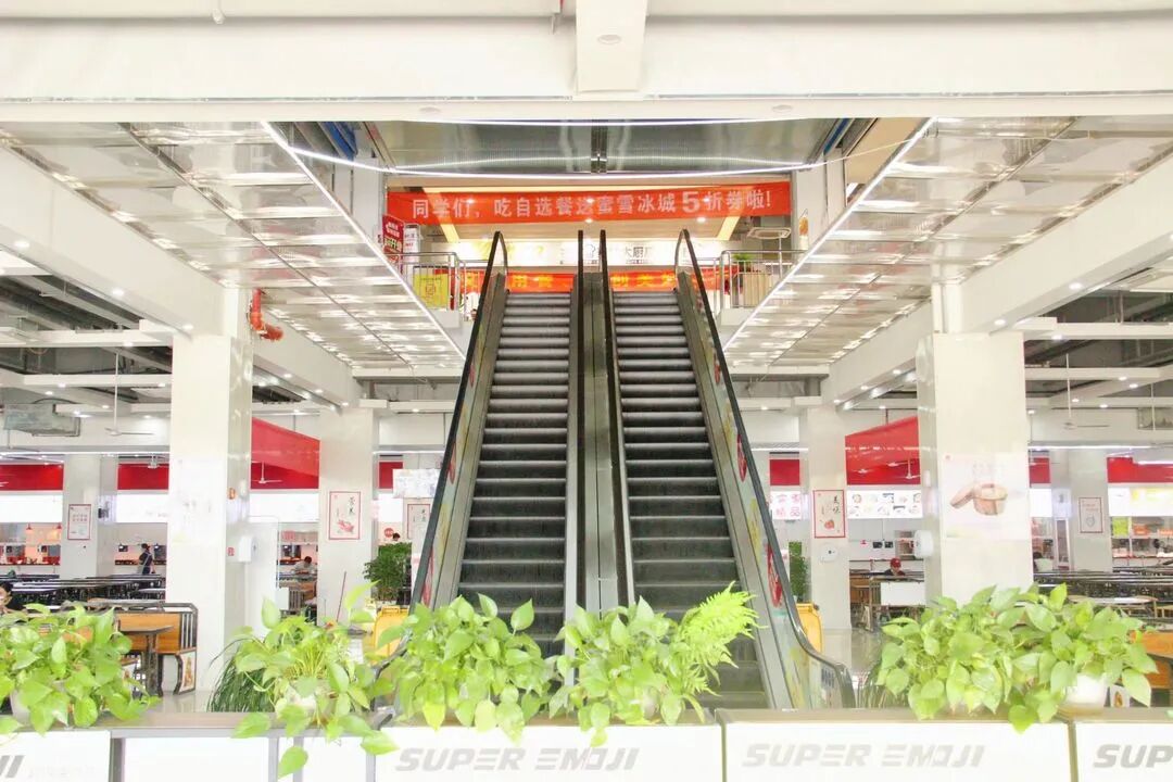 中考成績(jī)查詢江西宜春2021_2024年宜春中考成績(jī)查詢_宜春中考查分網(wǎng)站登錄