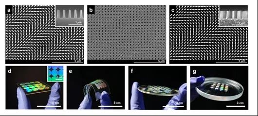 Feature Article：便捷加工厘米级超表面透镜——基于水溶性模具的纳米压印技术的图3
