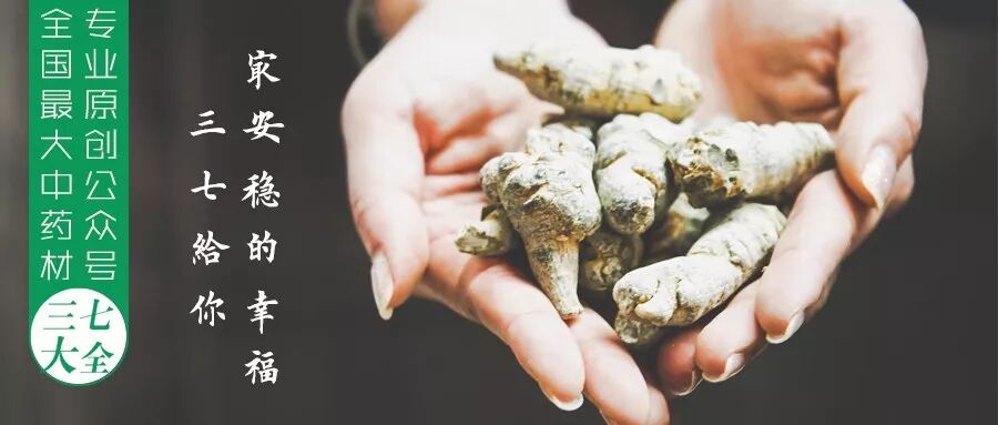 三七“生来不简单”！吃上三七粉，快者30天，发生大改变！