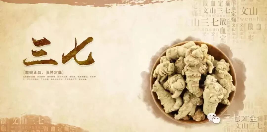 【三七粉食用】三七不会吃，怎么办？专家教你吃三七，让你吃出最