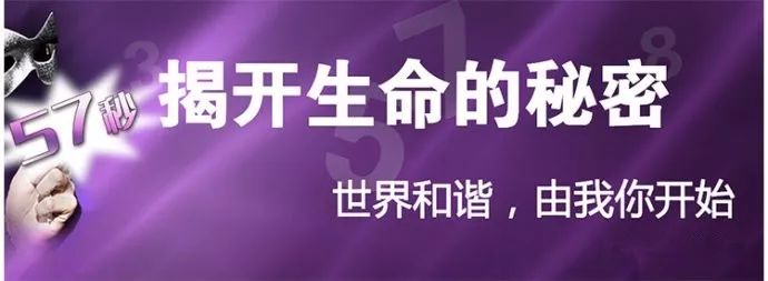 学习数字能量生命密码的意义？