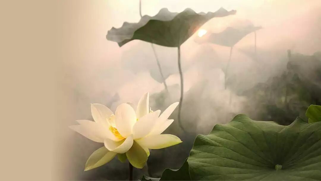 创业不顺、工作不顺，“不顺”背后磁场是什么？(图3)