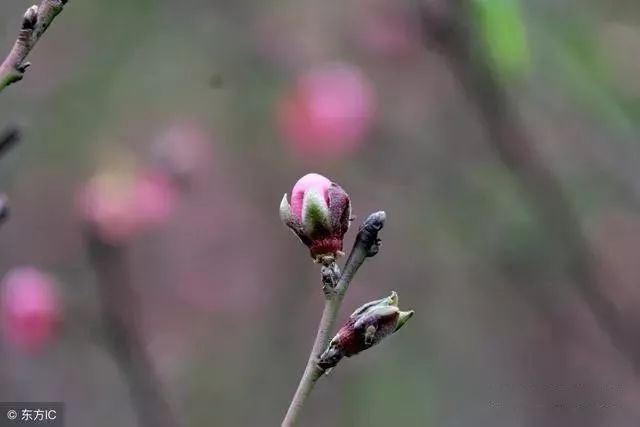 手机号中出现六煞磁场的数字将会对我们产生什么影响？