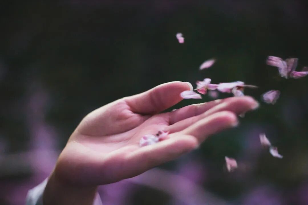 【情感】“假如离婚，你可以带走3样东西…”男人的回答一个比一个扎心（组图） - 10