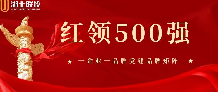 红领500强|湖北联投二级党组织“一企业一品牌”发布（二）