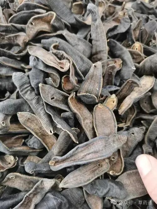 部分药材近期行情