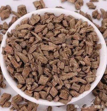 中药川断的功效与作用中药川续断的功效与作用