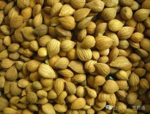 郁李仁的功效和作用(郁李仁的药用价值与功效)