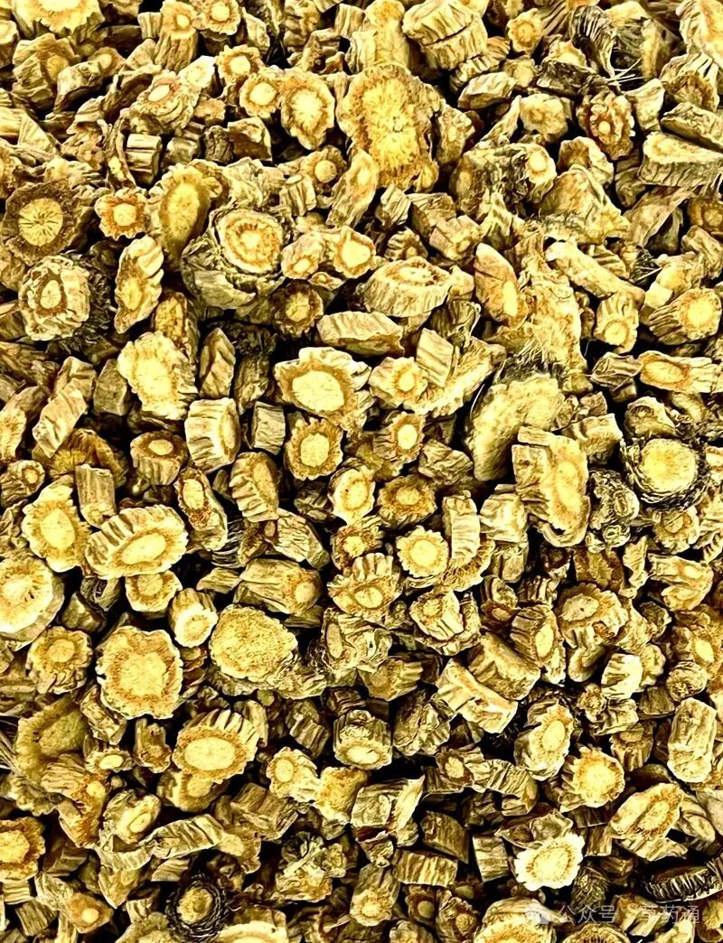 中药防风的功效与作用及副作用(中药防风的性味归经