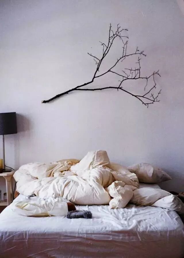 美学 | 枯枝，随便插插就这么美