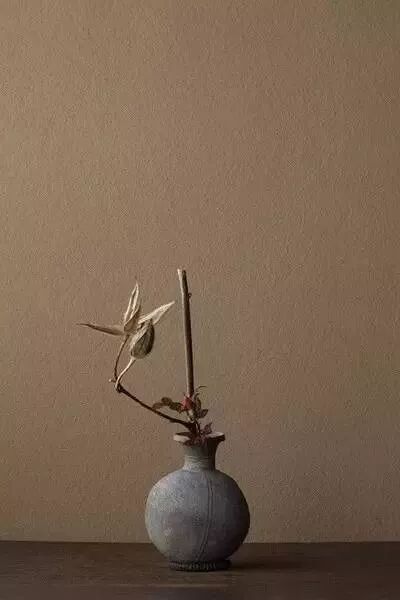 美学 | 枯枝，随便插插就这么美