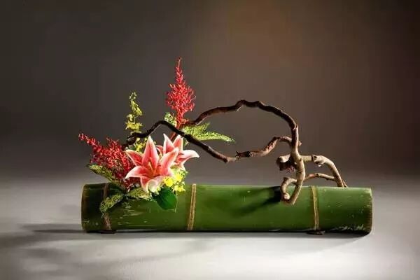 美学 | 枯枝，随便插插就这么美