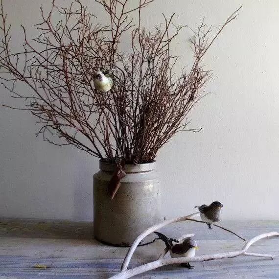 美学 | 枯枝，随便插插就这么美