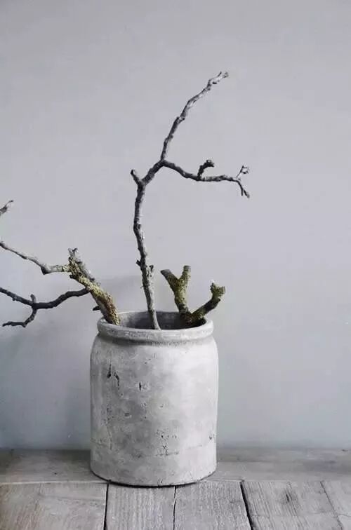 美学 | 枯枝，随便插插就这么美