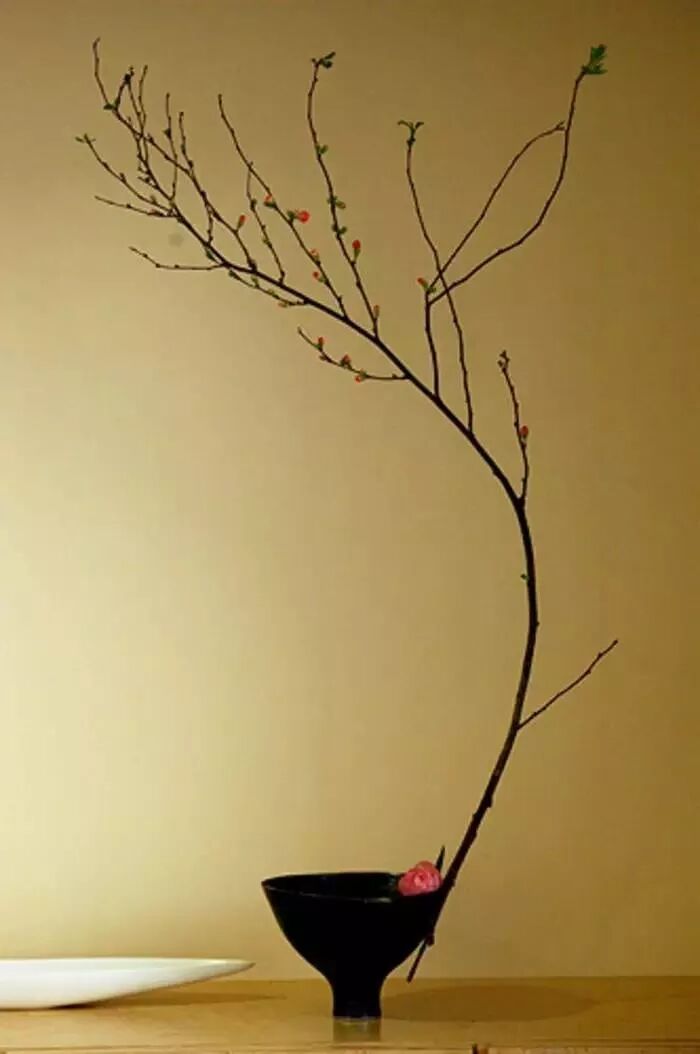 美学 | 枯枝，随便插插就这么美