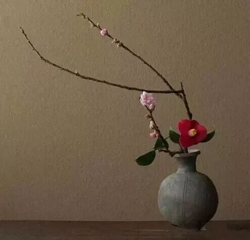 美学 | 枯枝，随便插插就这么美