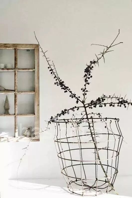 美学 | 枯枝，随便插插就这么美