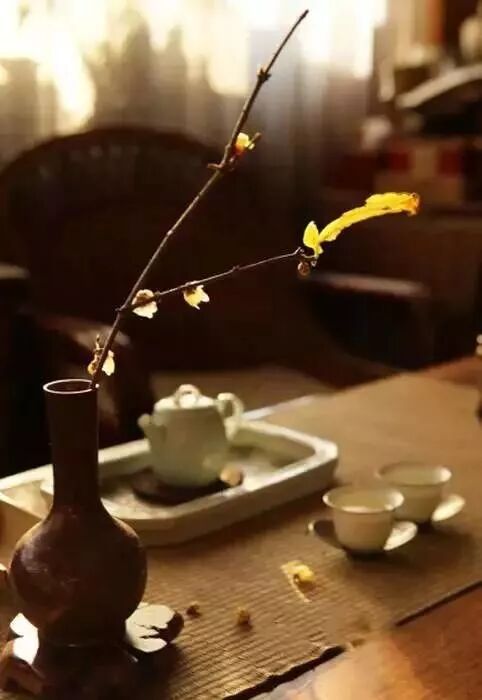 美学 | 枯枝，随便插插就这么美