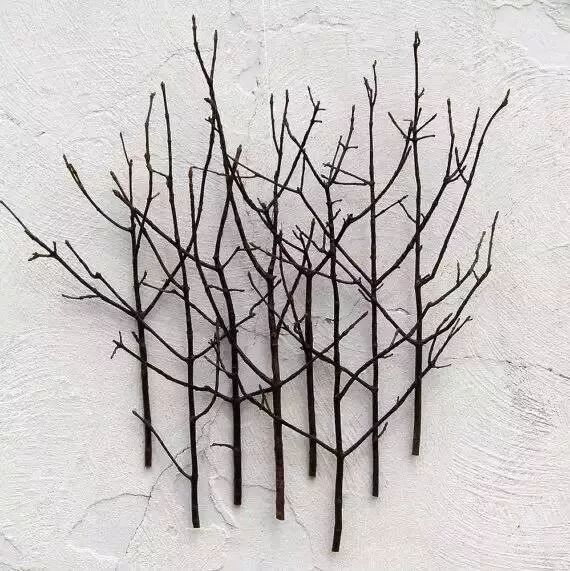 美学 | 枯枝，随便插插就这么美