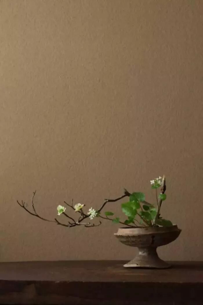 美学 | 枯枝，随便插插就这么美