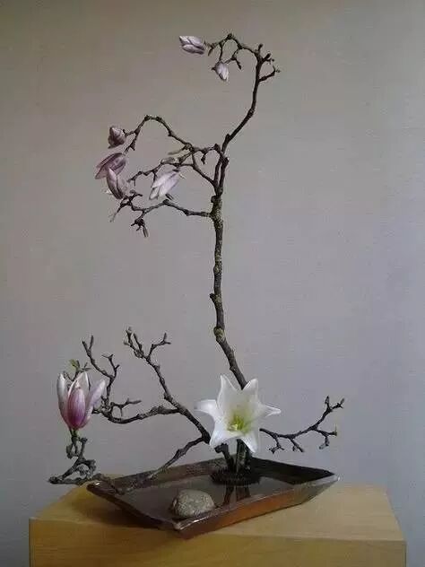 美学 | 枯枝，随便插插就这么美