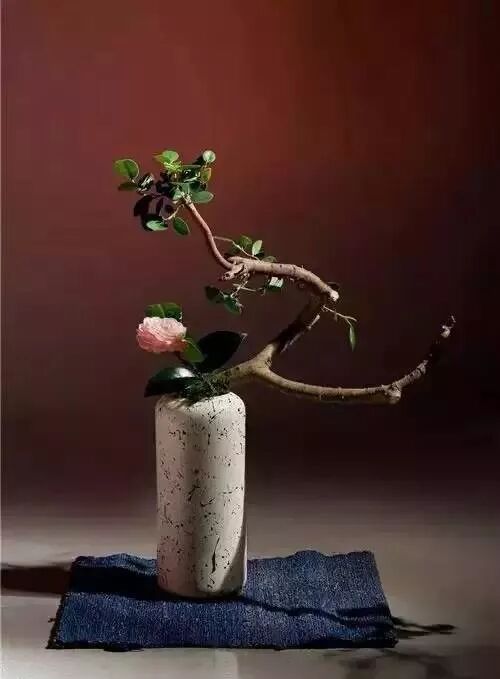 美学 | 枯枝，随便插插就这么美