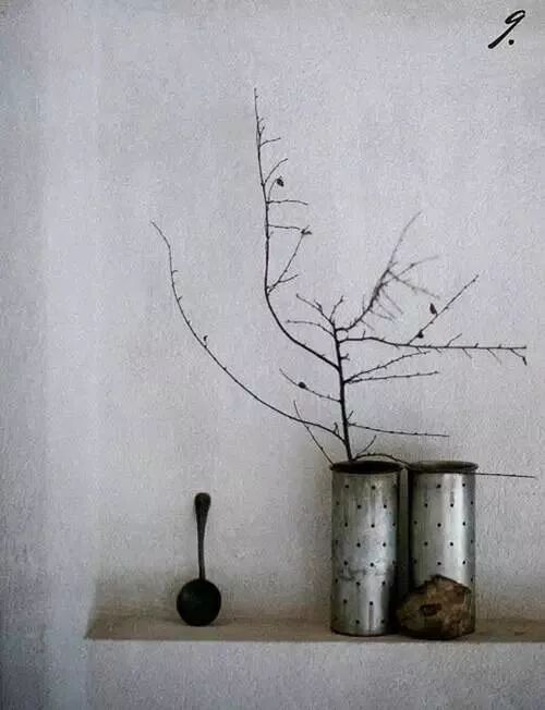 美学 | 枯枝，随便插插就这么美