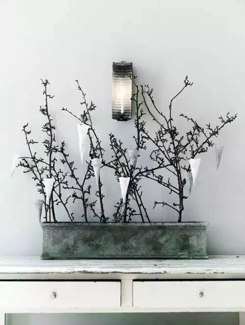 美学 | 枯枝，随便插插就这么美