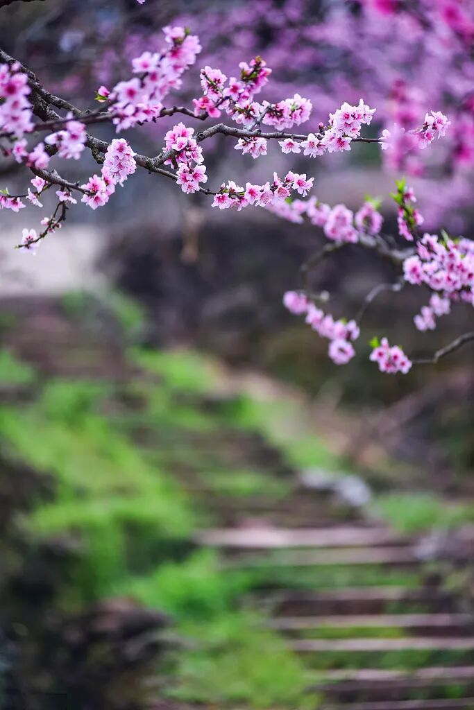 三月三 暮月青春 祓禊流觞 奥迪