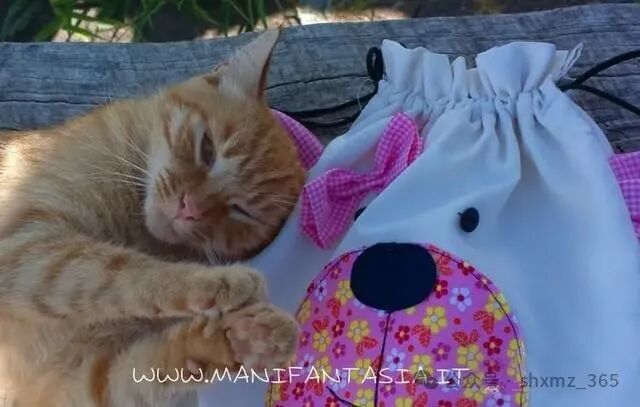 子母袋怎么做束口袋，换几个花样，萌萌宠宠的都喜欢_https://www.jmylbn.com_新闻资讯_第39张