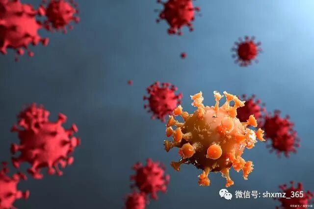 为什么查全自动血细胞为什么看病要查血常规？做一次血常规，能查出哪些病？_https://www.jmylbn.com_新闻资讯_第4张