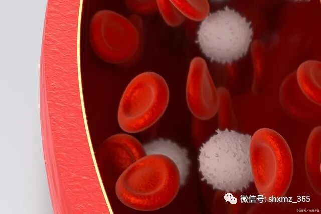 为什么查全自动血细胞为什么看病要查血常规？做一次血常规，能查出哪些病？_https://www.jmylbn.com_新闻资讯_第3张