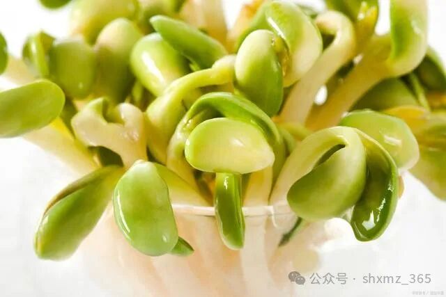 医用纱布有什么用医用纱布还能这样用？最后一个出乎意料_https://www.jmylbn.com_新闻资讯_第3张