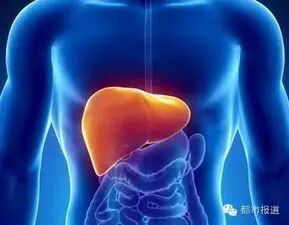 养肝如养命，再不养肝就晚了