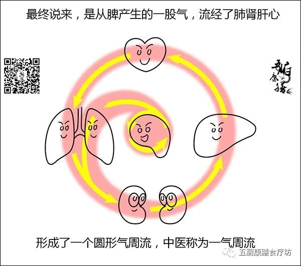侵袭，运化不力，一气周流从左路上升不力，也无法很好地激发肝气的生发当这些失去气的血流出肝后，没有气牵
