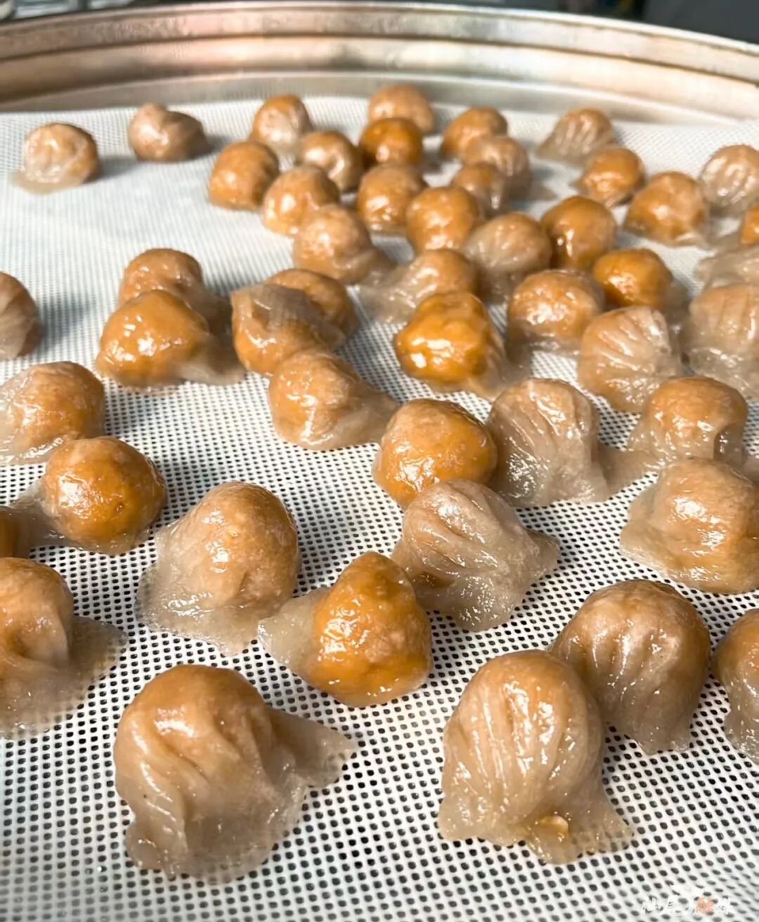 海丰小米  钟文婷 摄