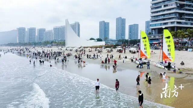 保利金町湾海滩开启“下饺子”模式。