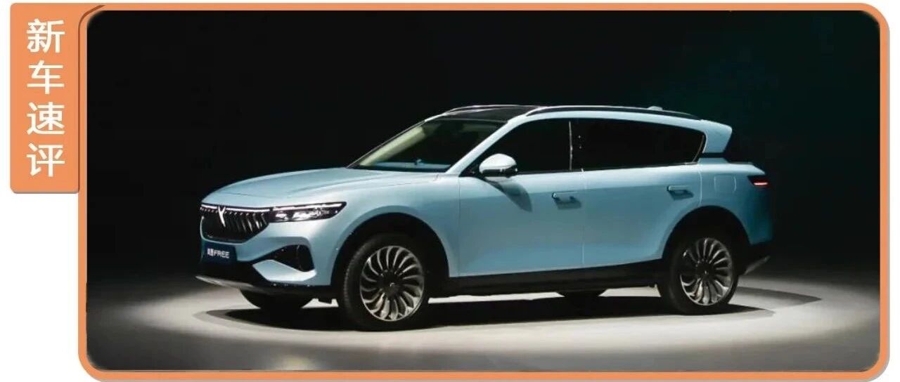 拳打理想one、脚踢ES6？31.36万起，岚图FREE正式上市