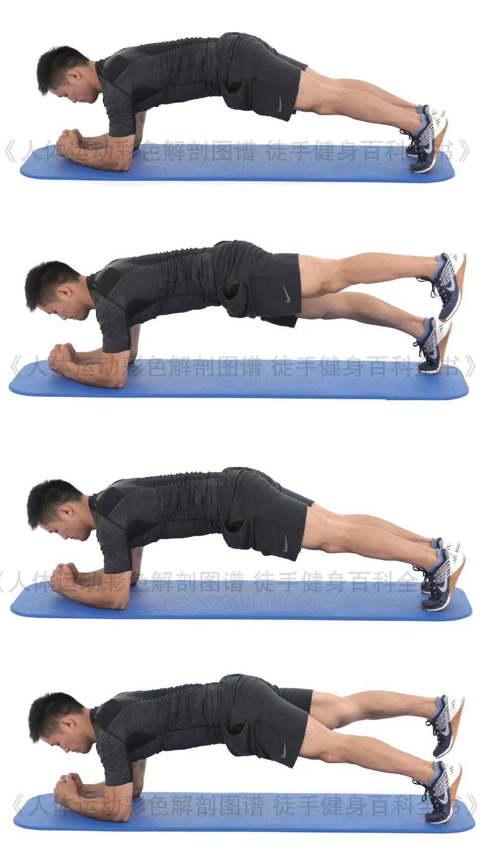 练器械怎么呼吸【文末福利】7个全身力量训练动作，足不出户也能练得全面！_https://www.jmylbn.com_新闻资讯_第4张