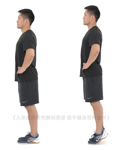 练器械怎么呼吸【文末福利】7个全身力量训练动作，足不出户也能练得全面！_https://www.jmylbn.com_新闻资讯_第20张