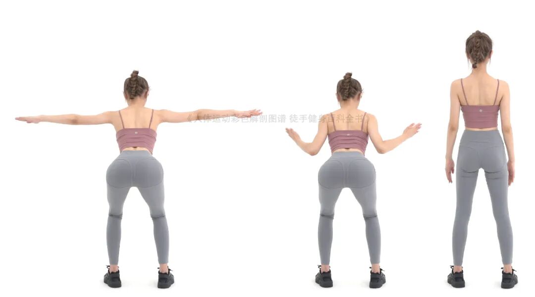 练器械怎么呼吸【文末福利】7个全身力量训练动作，足不出户也能练得全面！_https://www.jmylbn.com_新闻资讯_第12张