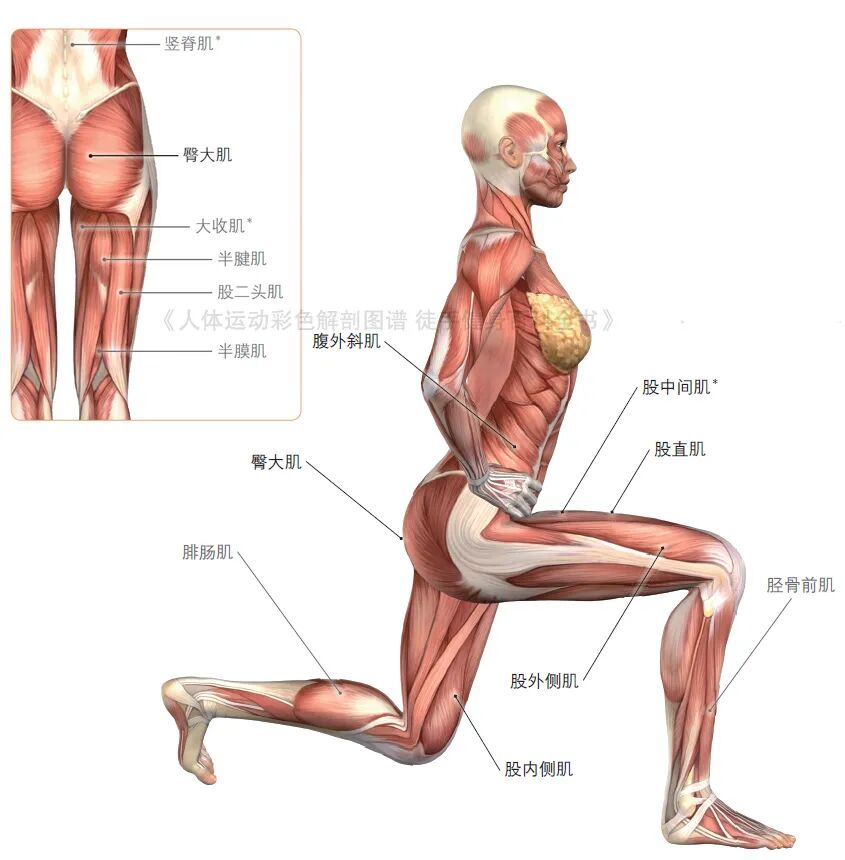 练器械怎么呼吸【文末福利】7个全身力量训练动作，足不出户也能练得全面！_https://www.jmylbn.com_新闻资讯_第8张