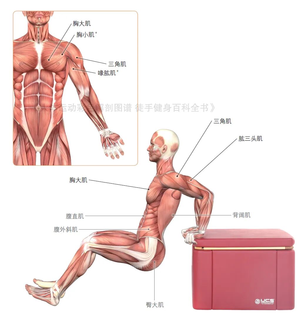 练器械怎么呼吸【文末福利】7个全身力量训练动作，足不出户也能练得全面！_https://www.jmylbn.com_新闻资讯_第15张