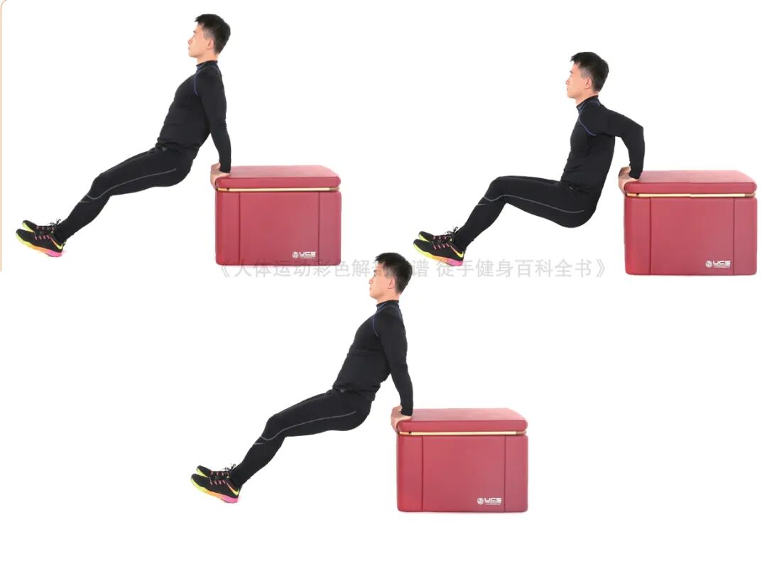 练器械怎么呼吸【文末福利】7个全身力量训练动作，足不出户也能练得全面！_https://www.jmylbn.com_新闻资讯_第14张