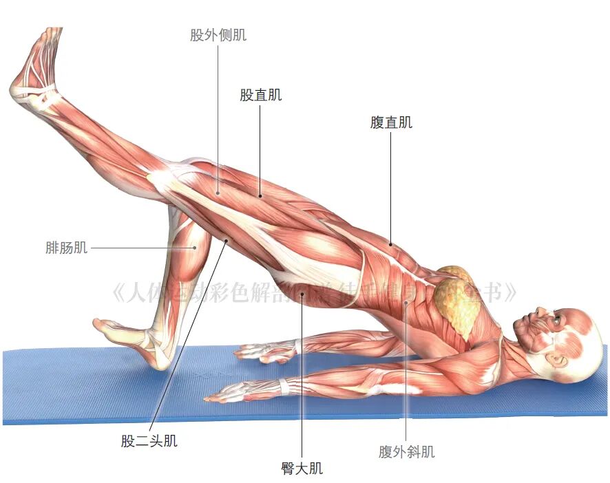 练器械怎么呼吸【文末福利】7个全身力量训练动作，足不出户也能练得全面！_https://www.jmylbn.com_新闻资讯_第18张